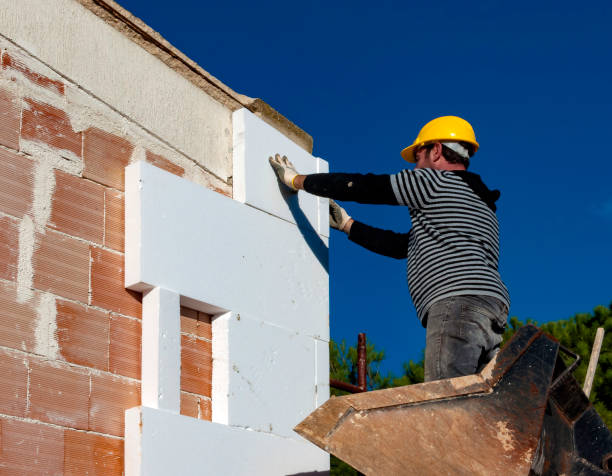 Best Specialty Insulation in Nashvle, IL